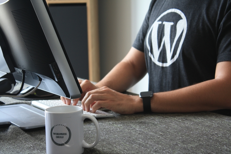 wordpress sales funnel theme